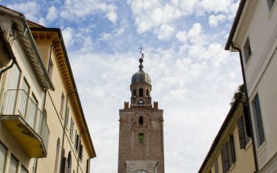 Articolo 3
